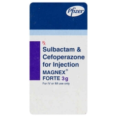 Magnex 1gm Injection